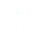 VasoDynamics medical icons