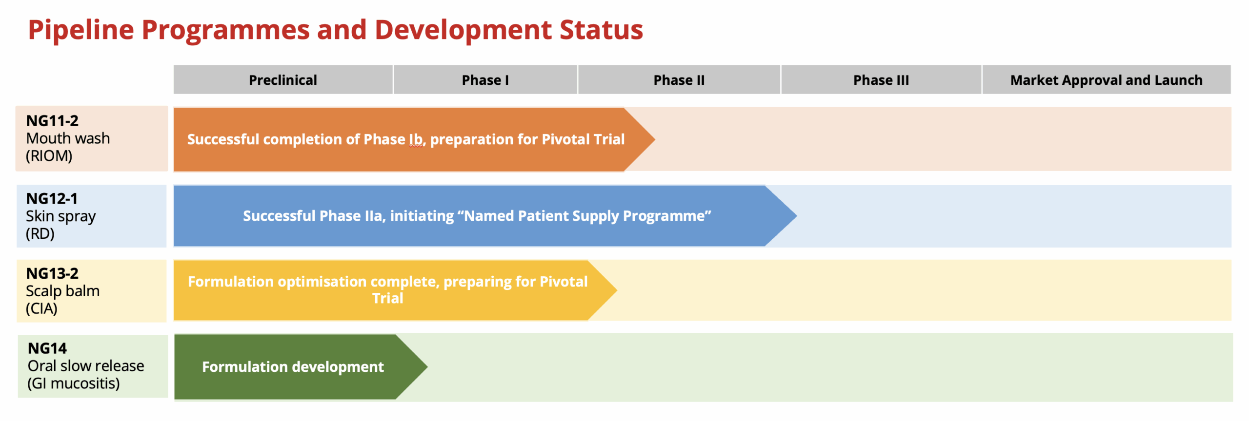 VasoDynamics Pipeline 2025
